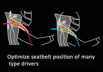 Bride ZIEG IV - Black Carbon